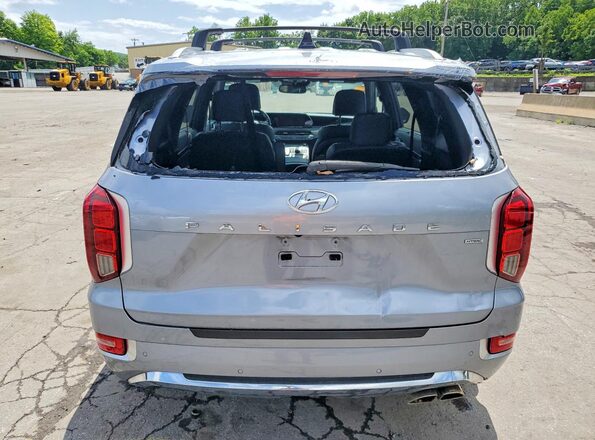 KM8R5DHE2LU158431 2020 HYUNDAI PALISADE Серебряный Вид сзади