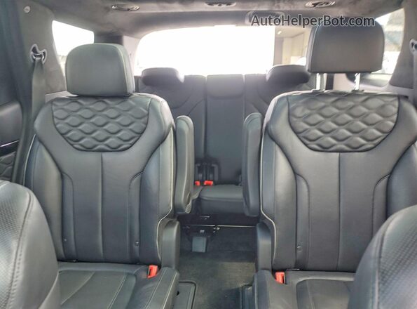 KM8R5DHE6LU039314 2020 HYUNDAI PALISADE Charcoal Вид задніх сидінь