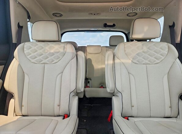 KM8R5DHE9LU035452 2020 HYUNDAI PALISADE Charcoal უკანა სავარძლების ხედი