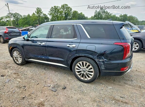 KM8R5DHE9LU035452 2020 HYUNDAI PALISADE Charcoal უკანა მარცხენა