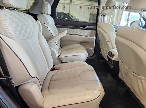 KM8R5DHE9LU068144 2020 HYUNDAI PALISADE Blue Widok wnętrza z tyłu
