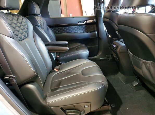 KM8R5DHE9LU131453 2020 HYUNDAI PALISADE Silver Սալոնի հետևի տեսք