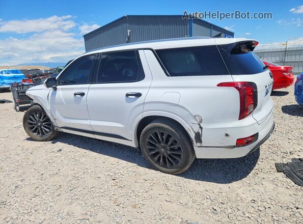 KM8R5DHEXLU044919 2020 HYUNDAI PALISADE White Trasero izquierdo