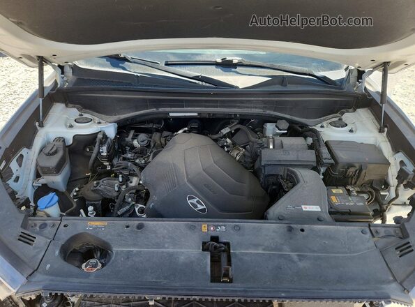 KM8R5DHEXLU044919 2020 HYUNDAI PALISADE White Vista interior trasera