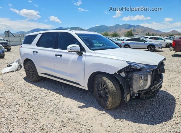 KM8R5DHEXLU044919 2020 HYUNDAI PALISADE White Delantero derecho