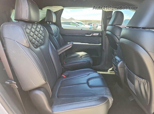KM8R5DHEXLU044919 2020 HYUNDAI PALISADE White Vista de los asientos traseros