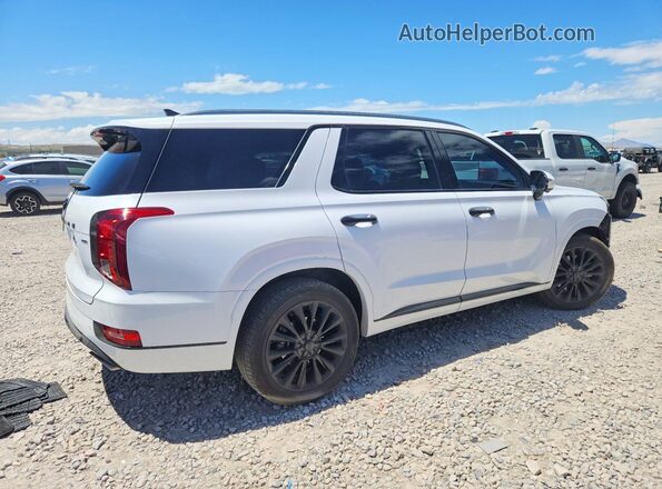 KM8R5DHEXLU044919 2020 HYUNDAI PALISADE White Trasero derecho