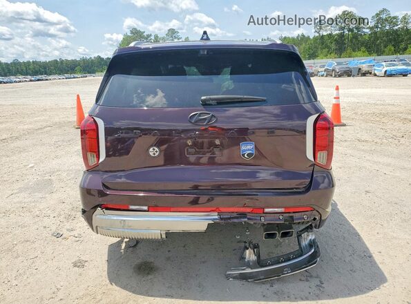 KM8R74GE6RU782866 2024 HYUNDAI PALISADE Maroon Widok z tyłu