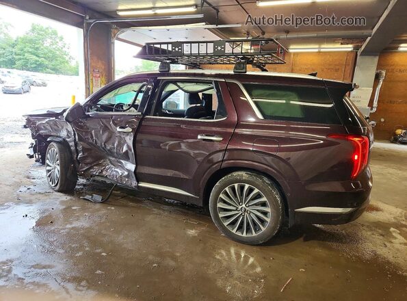 KM8R7DGE2PU546759 2023 HYUNDAI PALISADE Purple Trasero izquierdo
