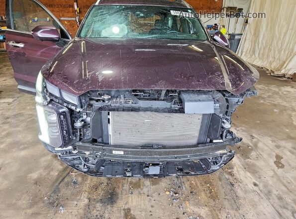 KM8R7DGE2PU546759 2023 HYUNDAI PALISADE Purple Vista del compartimento del motor