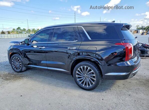 KM8R7DGE6RU698658 2024 HYUNDAI PALISADE Black Задня ліва чверть