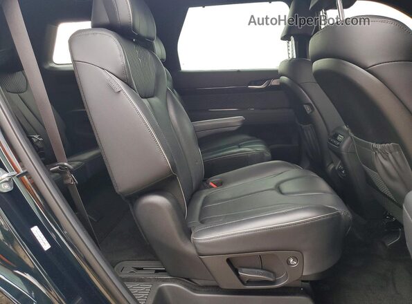 KM8R7DGE7RU752310 2024 HYUNDAI PALISADE Green Rear interior view