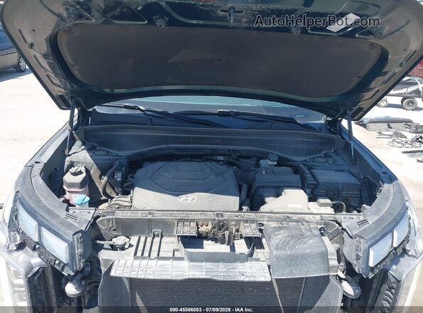 KM8R7DGE9PU596364 2023 HYUNDAI PALISADE Green Widok z tyłu