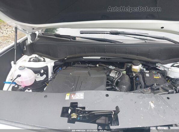 KM8RFES20TU101033 2026 HYUNDAI PALISADE White უკანა ხედი