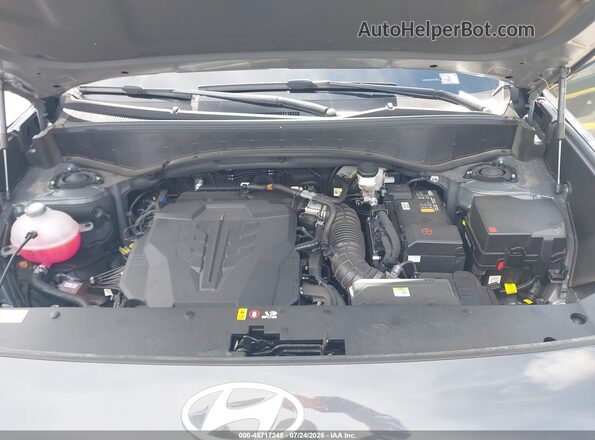KM8RL5S23TU102489 2026 HYUNDAI PALISADE Gray Widok z tyłu