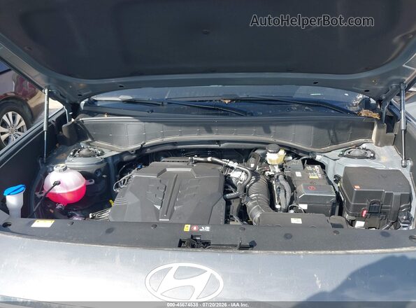 KM8RL5S27TU113124 2026 HYUNDAI PALISADE Gray Widok z tyłu