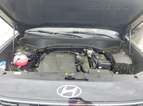 KM8RM5S25TU042762 2026 HYUNDAI PALISADE Black Սալոնի հետևի տեսք
