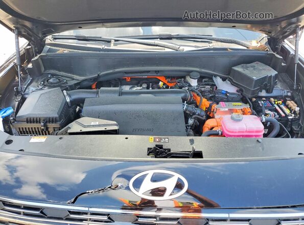 KM8RM5SA8TU046960 2026 HYUNDAI PALISADE Black Widok wnętrza z tyłu