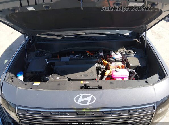 KM8RMESA5TU030263 2026 HYUNDAI PALISADE HEV Gray უკანა ხედი
