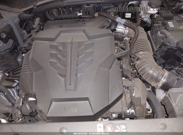 KM8RN5S28TU074201 2026 HYUNDAI PALISADE Gray Widok z tyłu