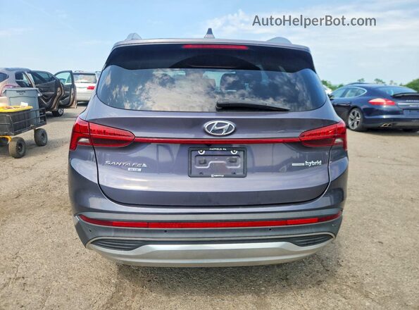 KM8S2DA17NU039794 2022 HYUNDAI SANTA Blue Vista trasera