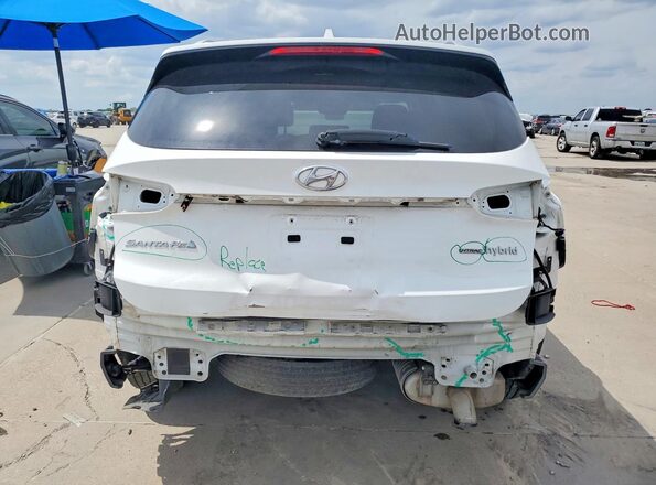 KM8S3DA19MU009627 2021 HYUNDAI SANTA White Vista trasera