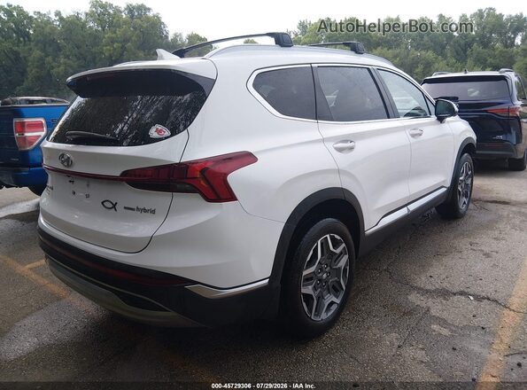 KM8S5DA10NU040261 2022 HYUNDAI SANTA FE HYBRID White Задня права чверть
