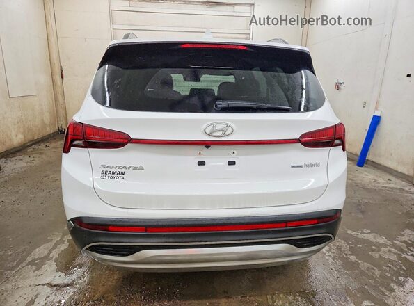KM8S5DA12NU028211 2022 HYUNDAI SANTA White Հետևի տեսք