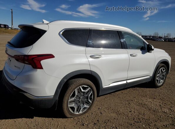 KM8S5DA13MU003770 2021 HYUNDAI SANTA Белый Задняя правая четверть
