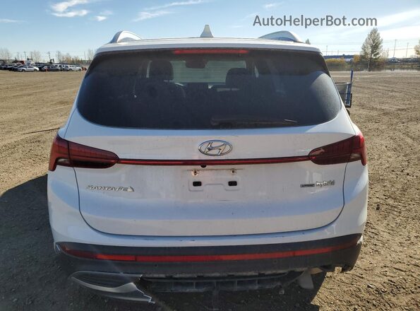 KM8S5DA13MU003770 2021 HYUNDAI SANTA Белый Вид сзади
