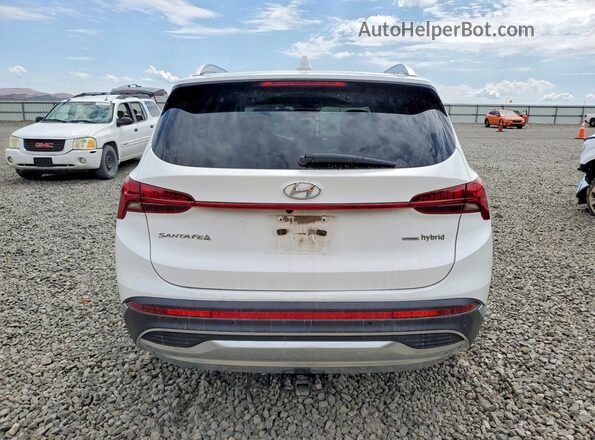 KM8S5DA19MU008519 2021 HYUNDAI SANTA Белый Вид сзади