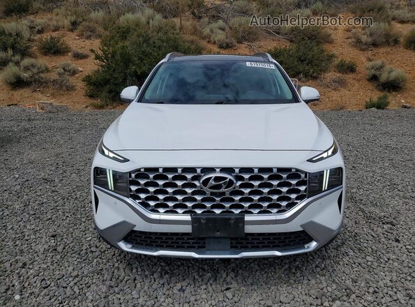 KM8S5DA19MU008519 2021 HYUNDAI SANTA Белый Вид спереди