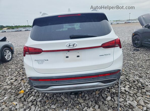KM8S5DA1XMU011090 2021 HYUNDAI SANTA White Vista trasera