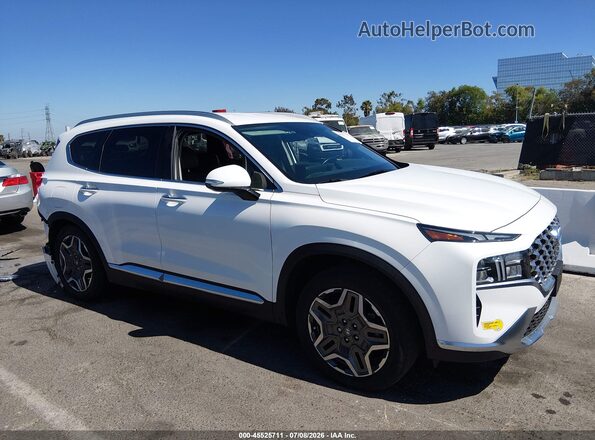 KM8S6DA20NU044090 2022 HYUNDAI SANTA FE PLUG-IN HYBRID White უკანა სალონის ხედი