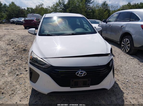 KMHC65LC3HU048056 2017 HYUNDAI IONIQ HYBRID Белый Вид щитка приборов