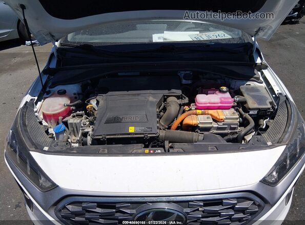 KMHC85LC4LU234353 2020 HYUNDAI IONIQ HYBRID Белый Вид сзади
