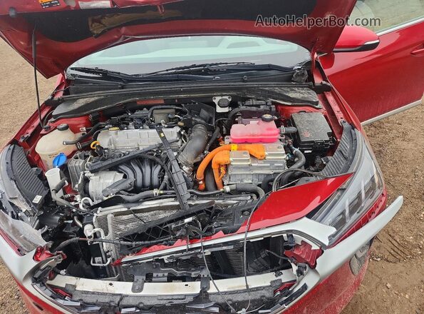 KMHC85LC4LU242498 2020 HYUNDAI IONIQ Burgundy Սալոնի հետևի տեսք