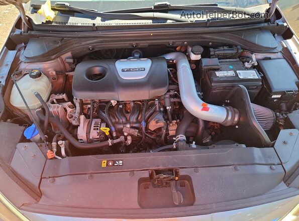 KMHD04LB2LU019065 2020 HYUNDAI ELANTRA Gray Սալոնի հետևի տեսք