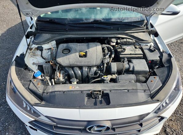 KMHD84LF0LU923055 2020 HYUNDAI ELANTRA White Սալոնի հետևի տեսք