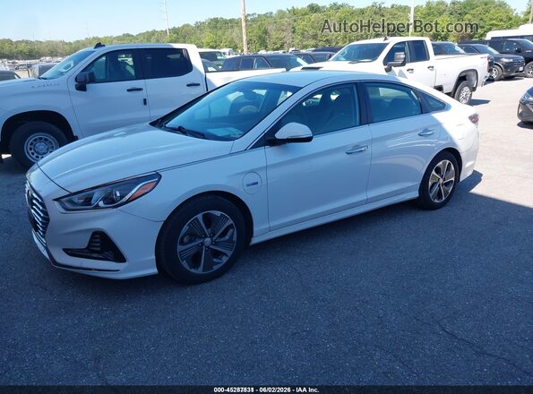 KMHE14L29KA091396 2019 HYUNDAI SONATA PLUG-IN HYBRID Белый Передняя левая четверть