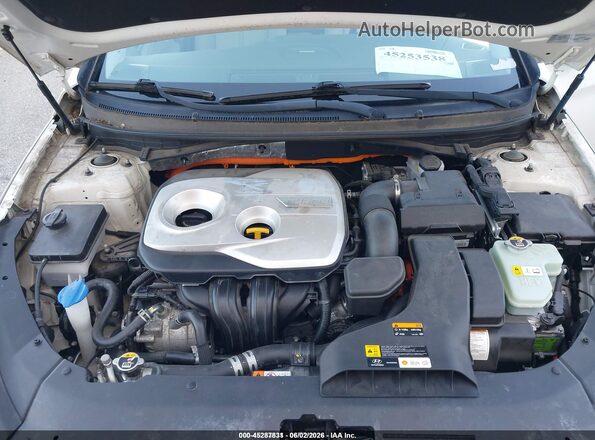 KMHE14L29KA091396 2019 HYUNDAI SONATA PLUG-IN HYBRID Белый Вид сзади