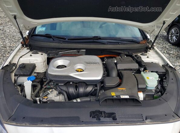 KMHE14L2XKA093996 2019 HYUNDAI SONATA Белый Вид задней части салона