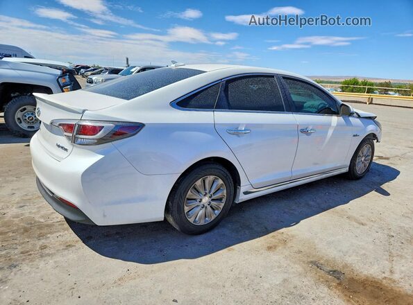 KMHE24L10GA009244 2016 HYUNDAI SONATA White Tył prawy