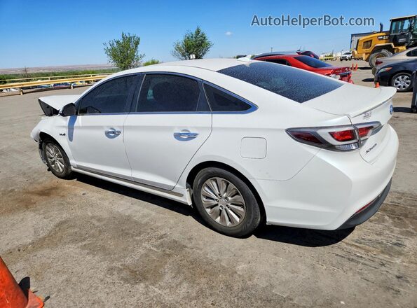 KMHE24L10GA009244 2016 HYUNDAI SONATA White Tył lewy
