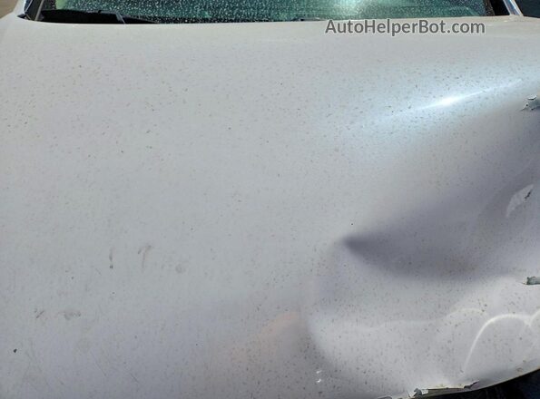 KMHE24L10GA009244 2016 HYUNDAI SONATA White Widok wnętrza z tyłu
