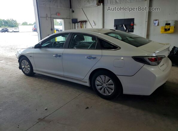 KMHE24L12HA048578 2017 HYUNDAI SONATA White Rear left
