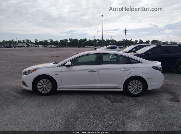 KMHE24L13HA046127 2017 HYUNDAI SONATA HYBRID White 