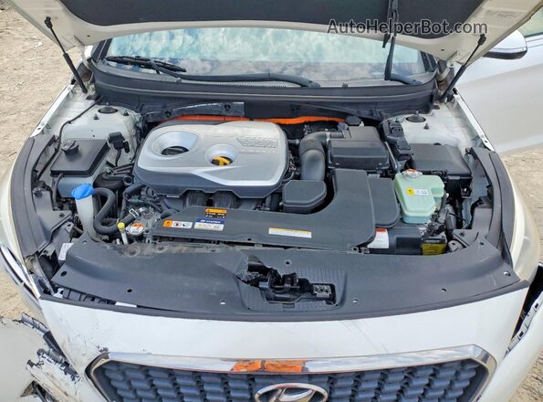 KMHE24L14GA040691 2016 HYUNDAI SONATA White Սալոնի հետևի տեսք