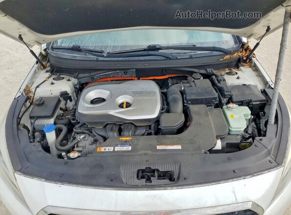 KMHE24L14HA054060 2017 HYUNDAI SONATA White უკანა სალონის ხედი