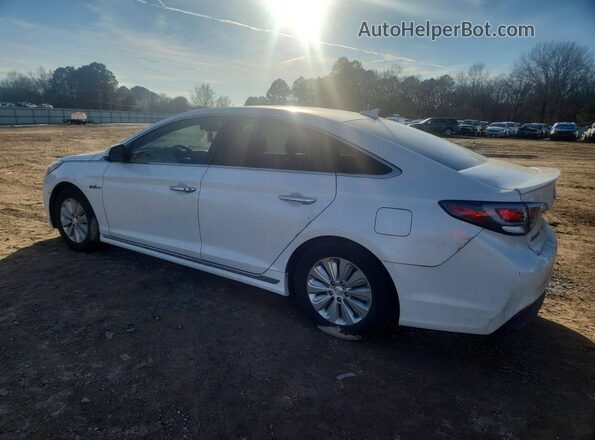 KMHE24L15HA047716 2017 HYUNDAI SONATA White უკანა მარცხენა